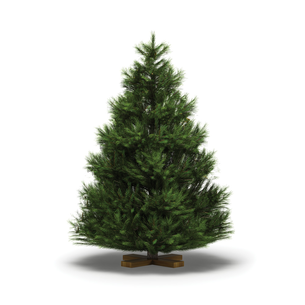 Christmas Tree Configurator - Image 2