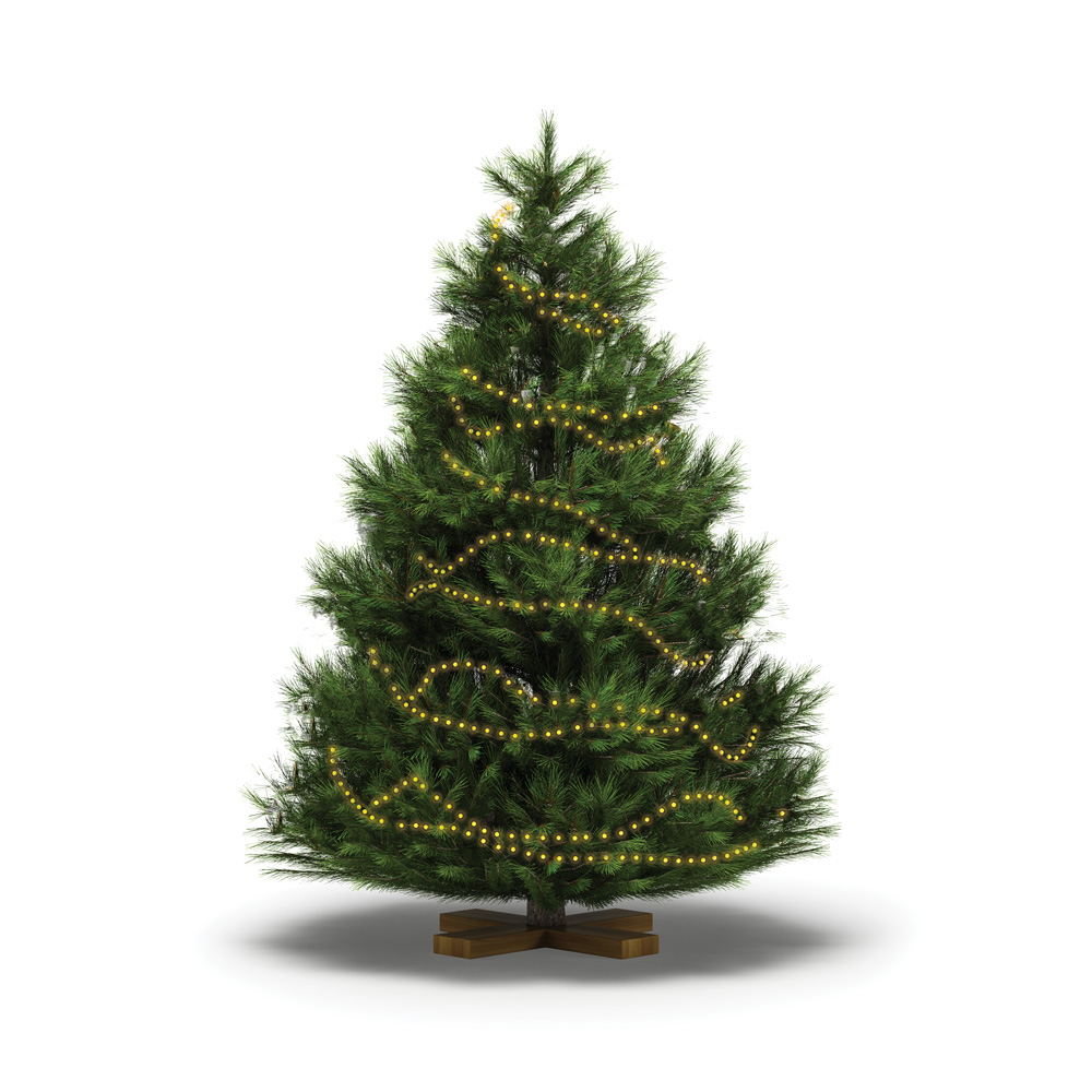 Christmas Tree Configurator - Image 3